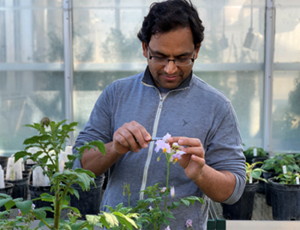 Hari Karki, Post Doc in the Halderman Lab